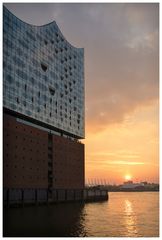 Abendsonne an der Elbphilharmonie