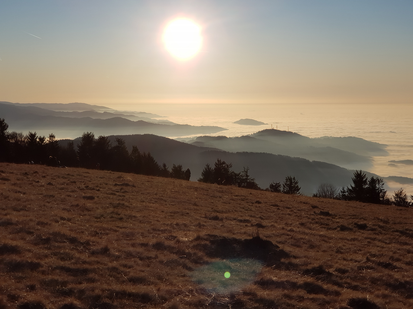 Abendsonne an Neujahr 2020 auf dem Kandel