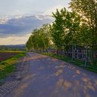 Abendsonne an unserer Großbaustelle