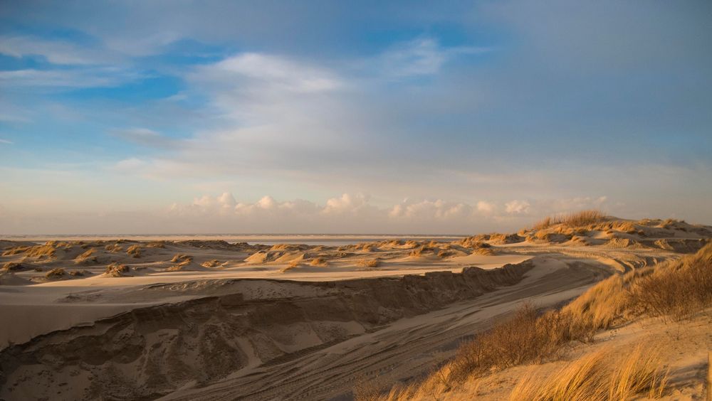 Abendsonne auf Borkum