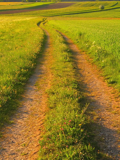 Abendsonne auf dem Feldweg