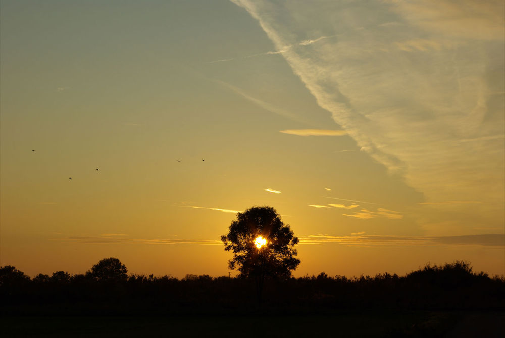 Abendsonne auf dem Land...