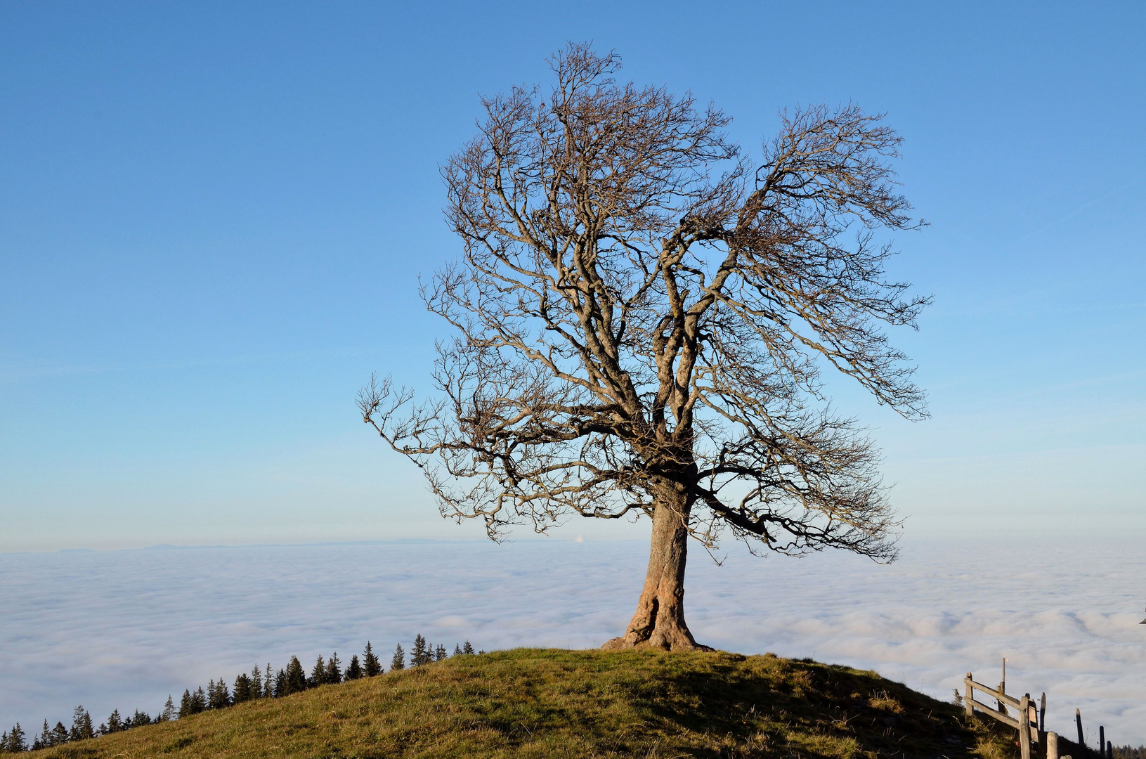 Abendsonne auf dem Pilatus