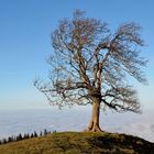 Abendsonne auf dem Pilatus