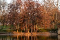 Abendsonne auf dem See