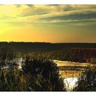 " Abendsonne auf der Mechelse Heide "(2)