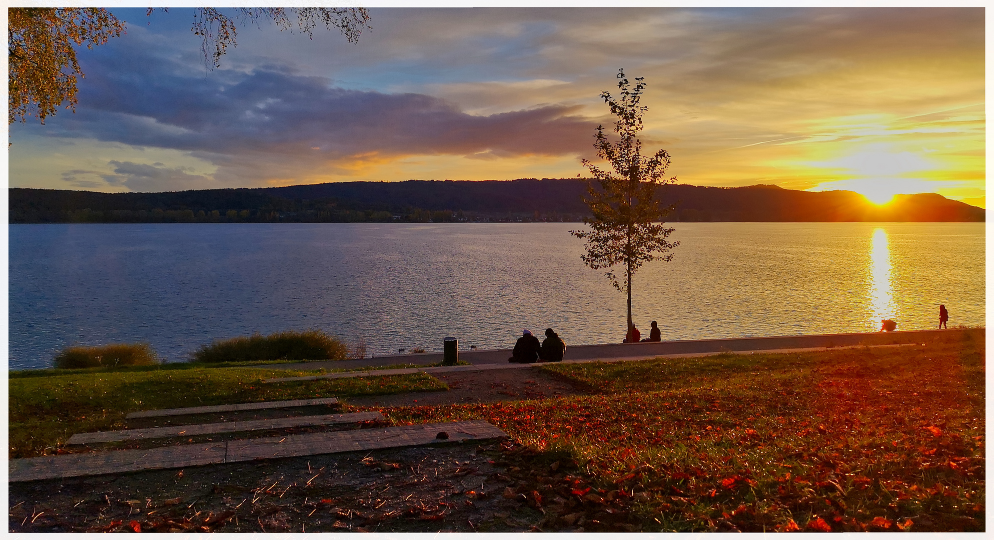 Abendsonne auf der Mettnau