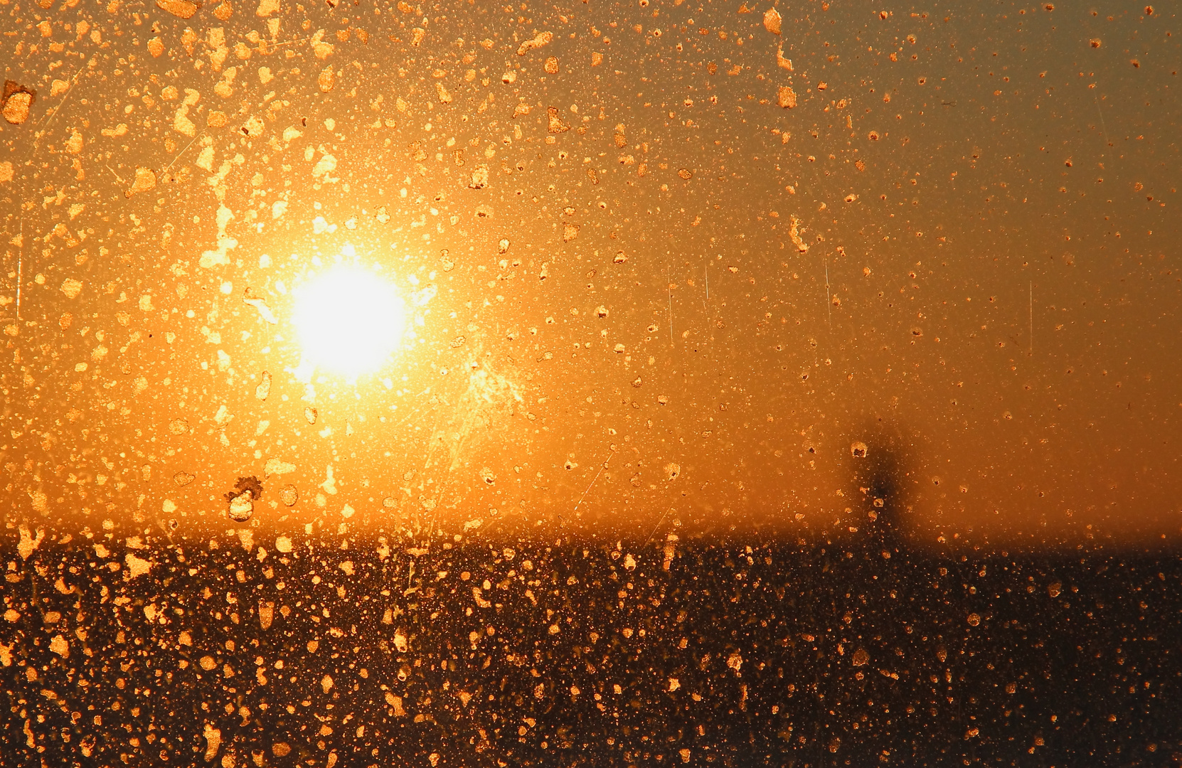 Abendsonne auf der Nordsee im Winter