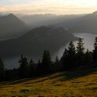 Abendsonne auf der Rigi geniessen