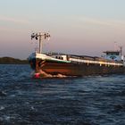 Abendsonne auf der Weser