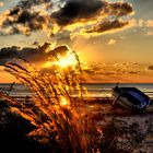 Abendsonne auf Djerba