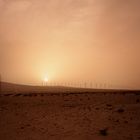 Abendsonne auf Fuerteventura