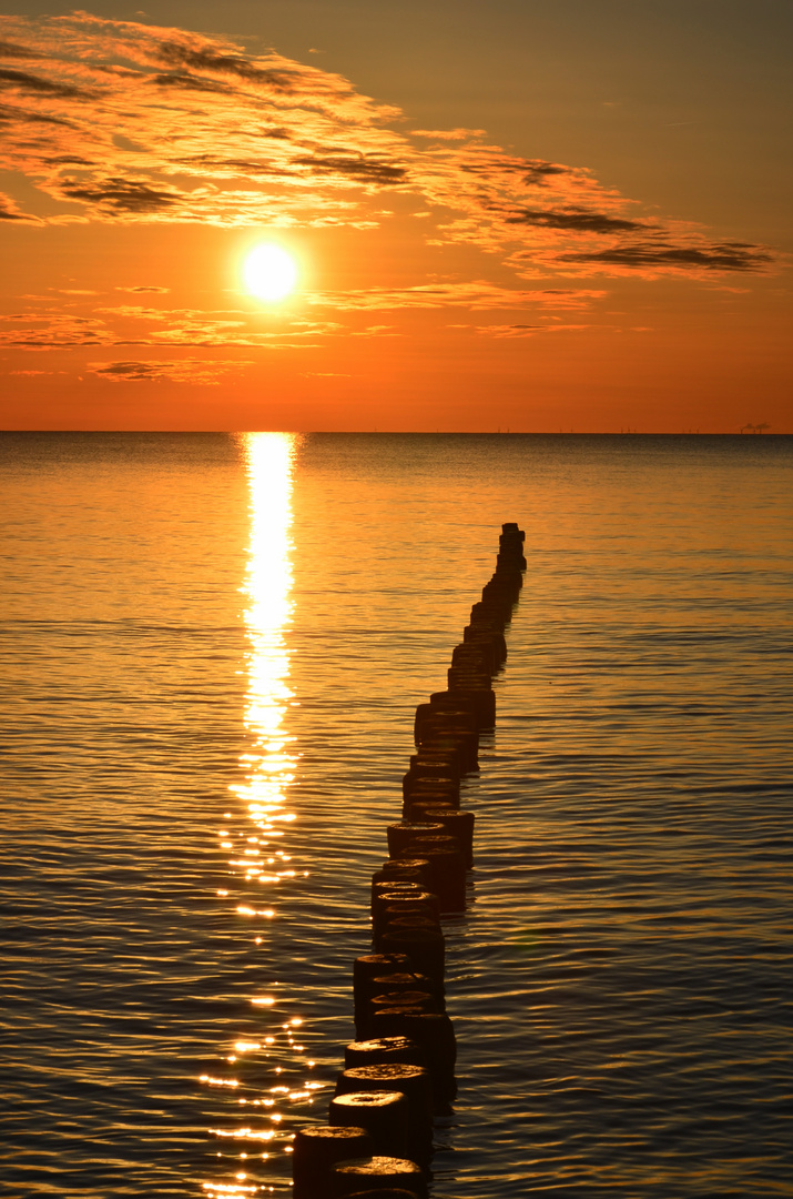 Abendsonne auf Hiddensee