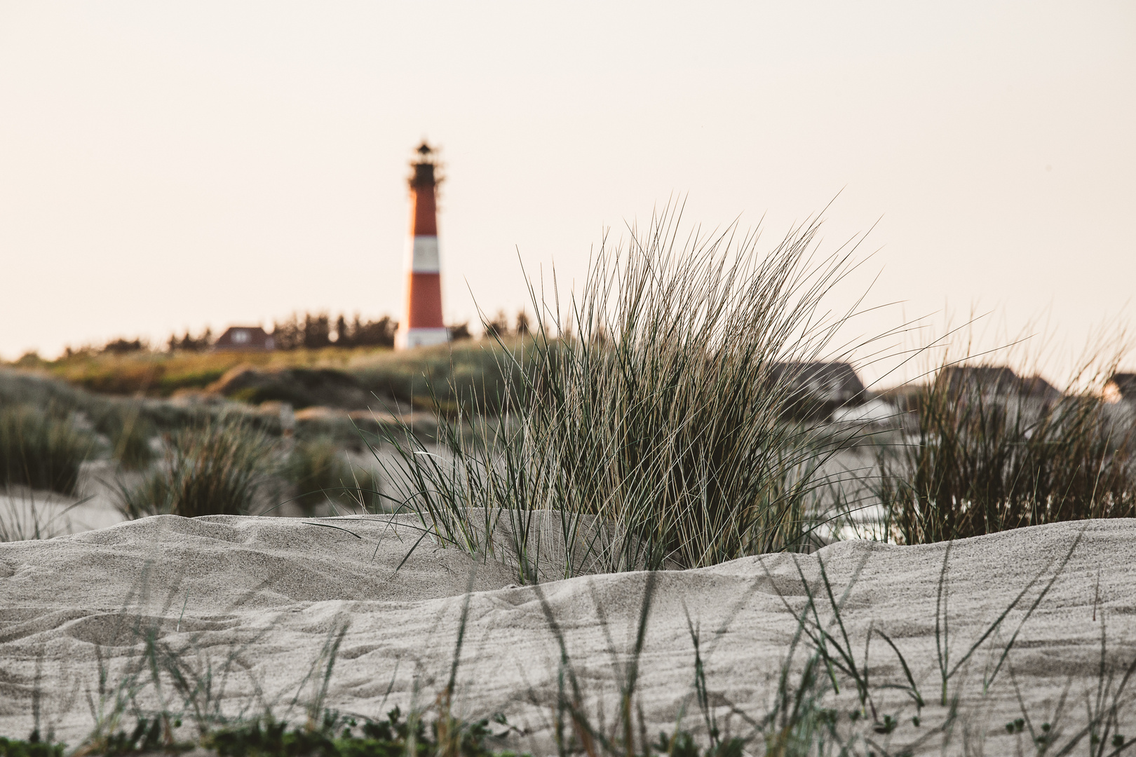 Abendsonne auf Sylt