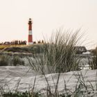 Abendsonne auf Sylt