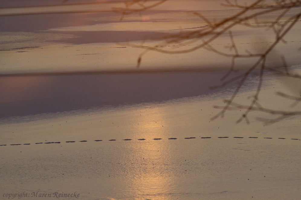 Abendsonne auf winterlichem See