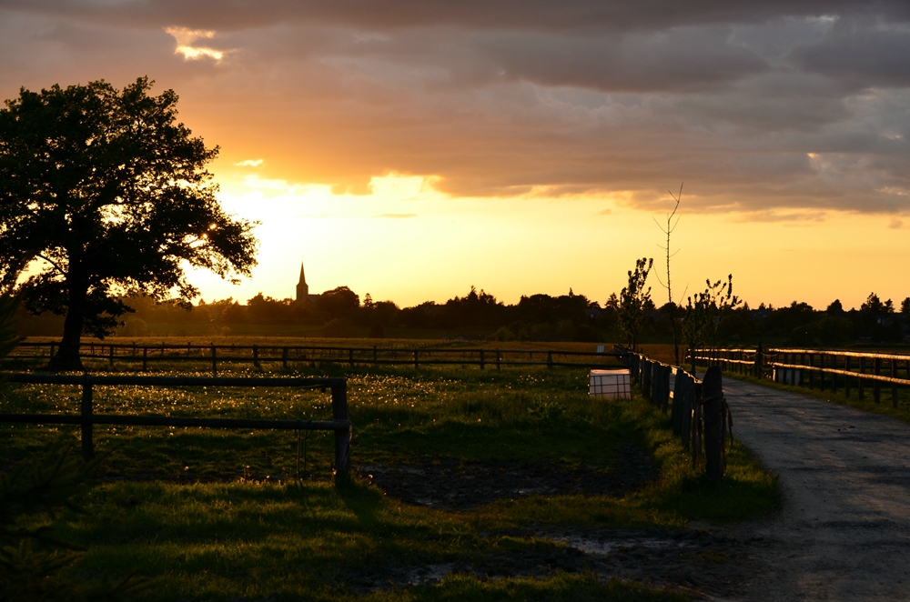 Abendsonne bei Breinig