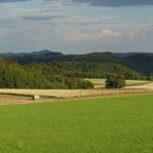 Abendsonne bei Lichtenhain/ Sächsische Schweiz