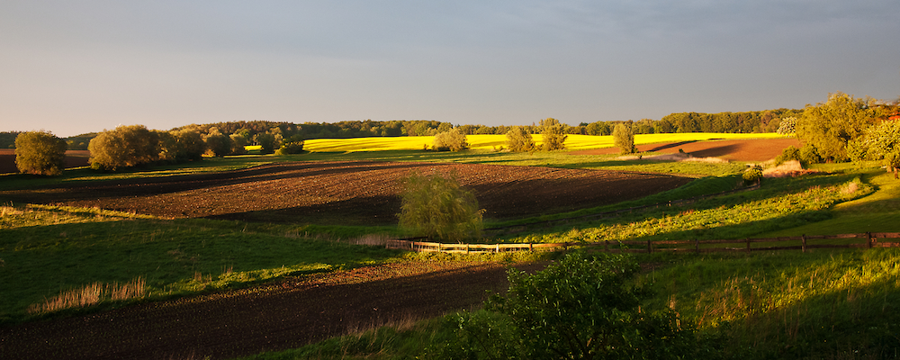 Abendsonne