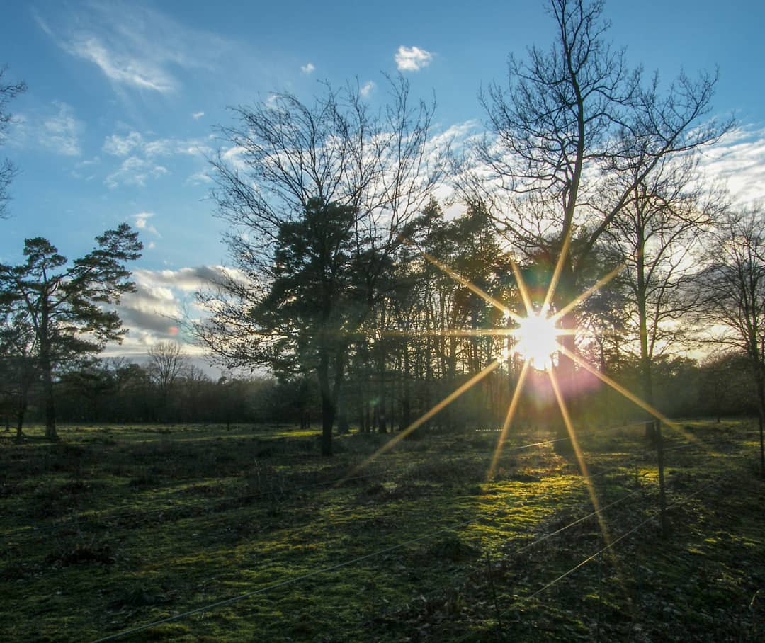 Abendsonne