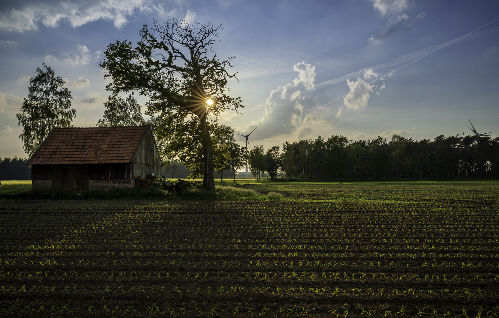 Abendsonne