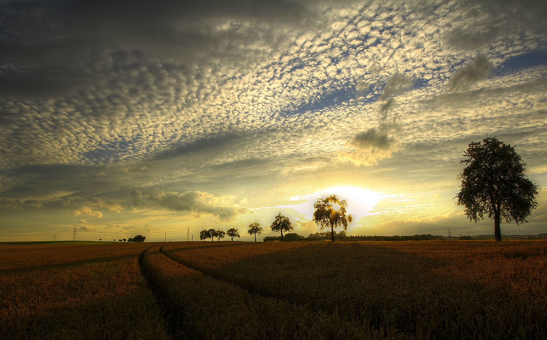 Abendsonne