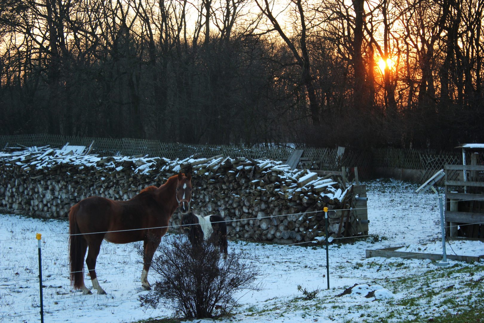 Abendsonne