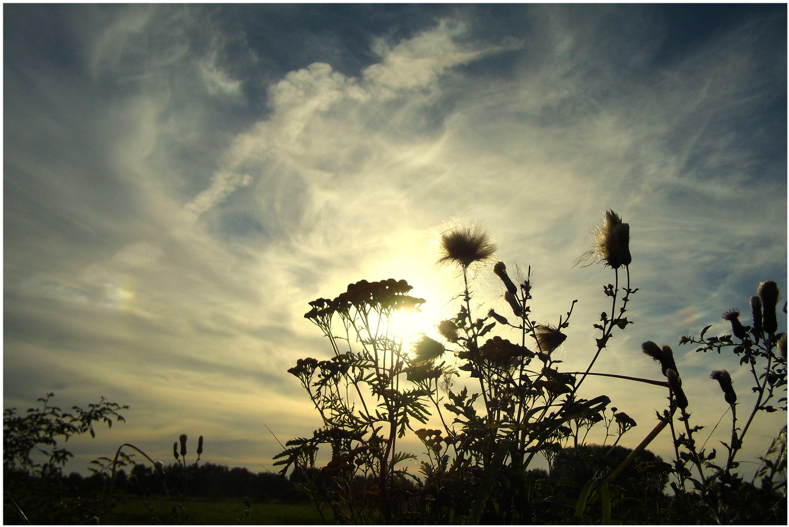 Abendsonne