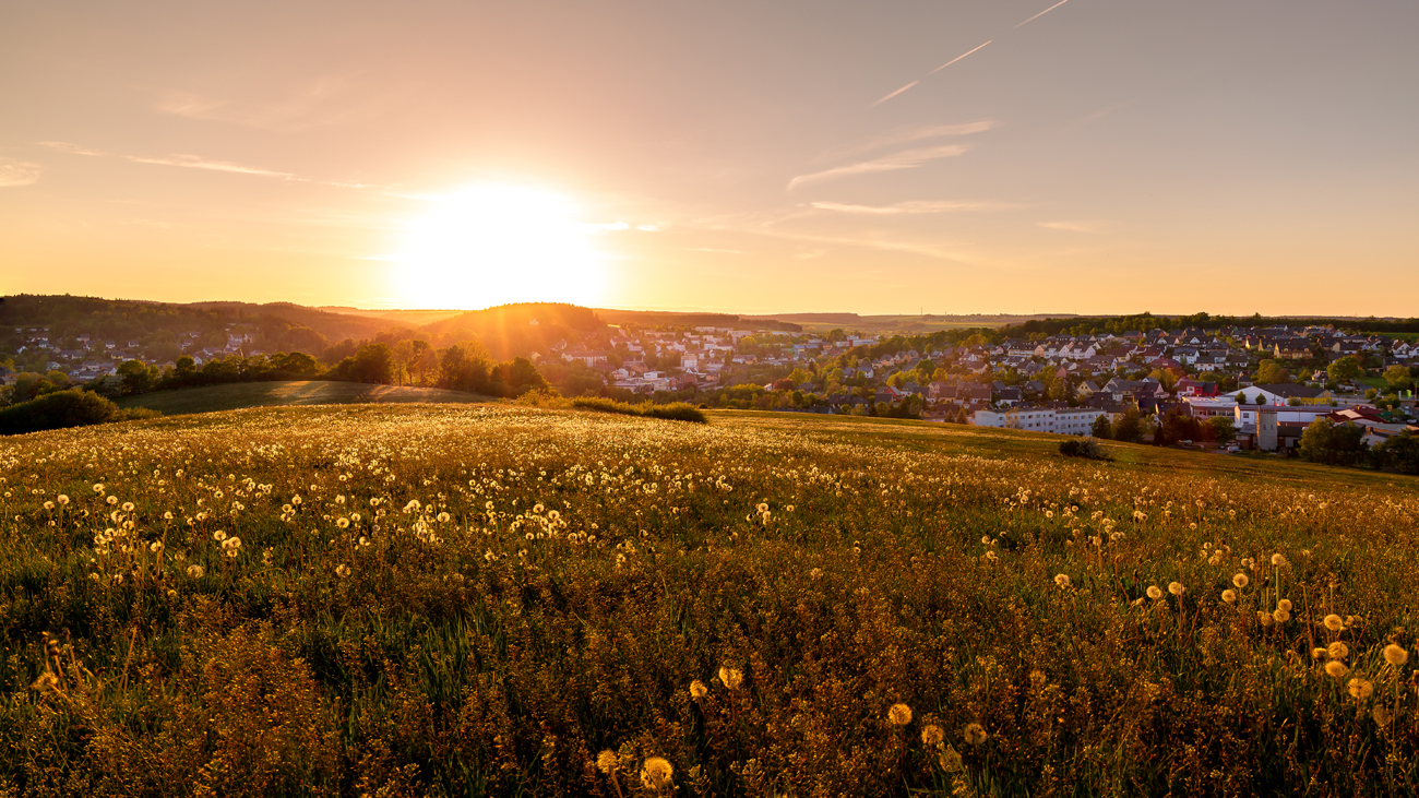 Abendsonne 