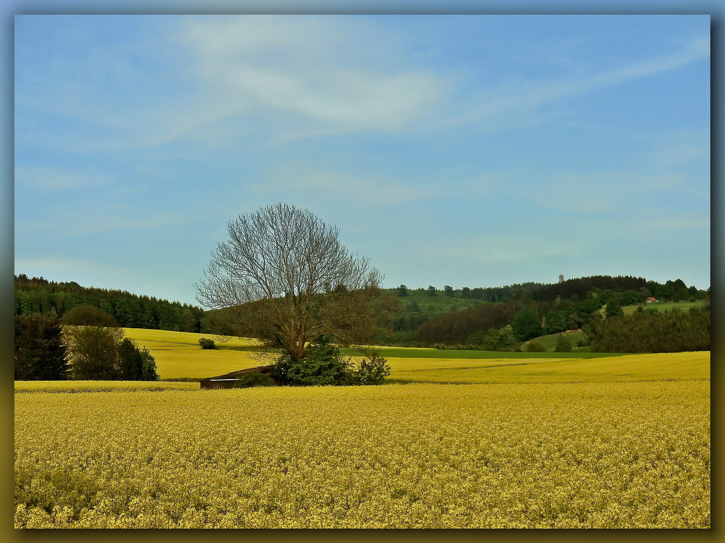 Abendsonne