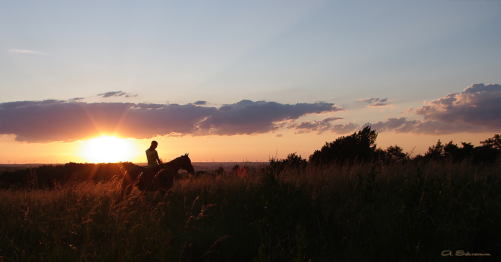 Abendsonne...