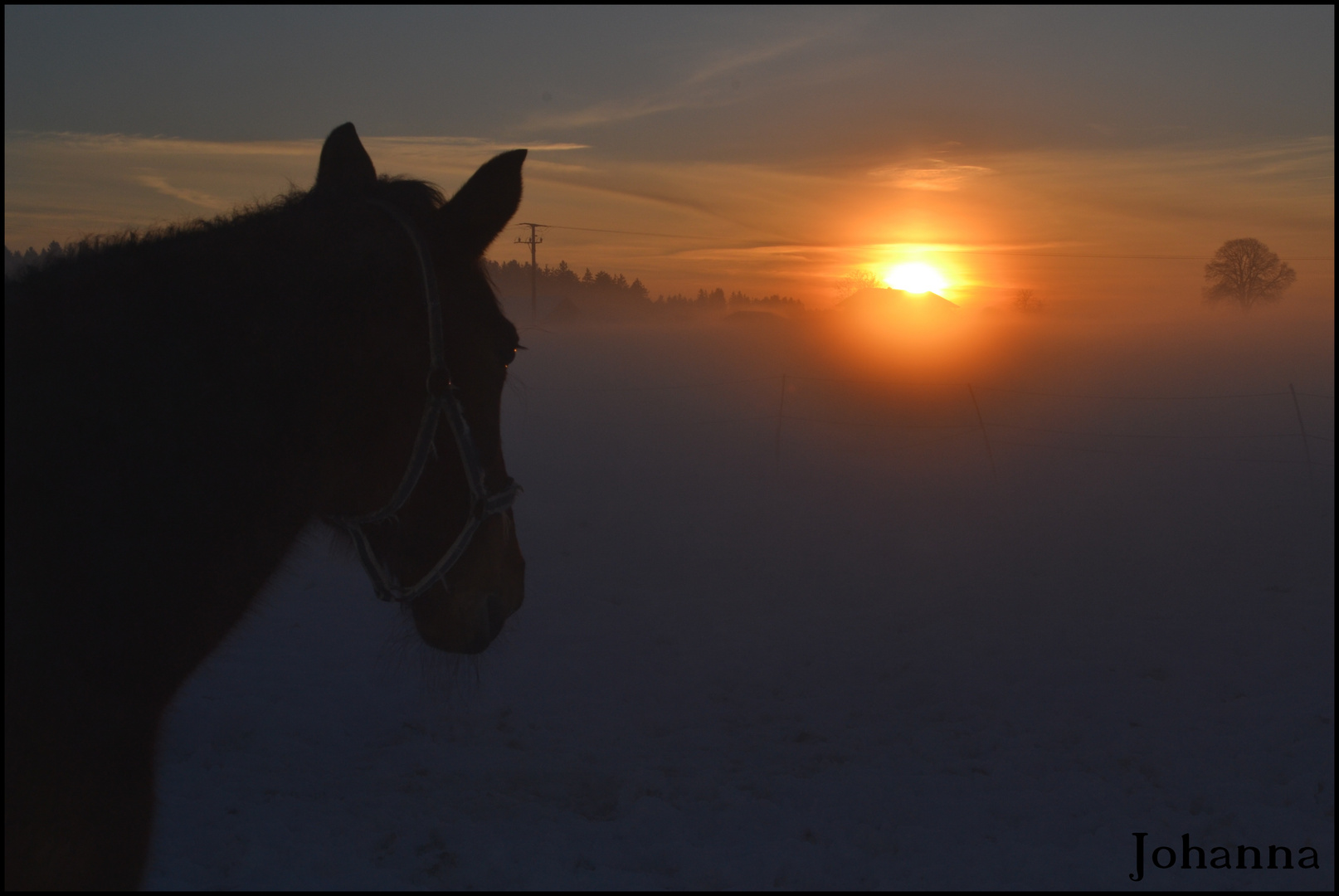 Abendsonne