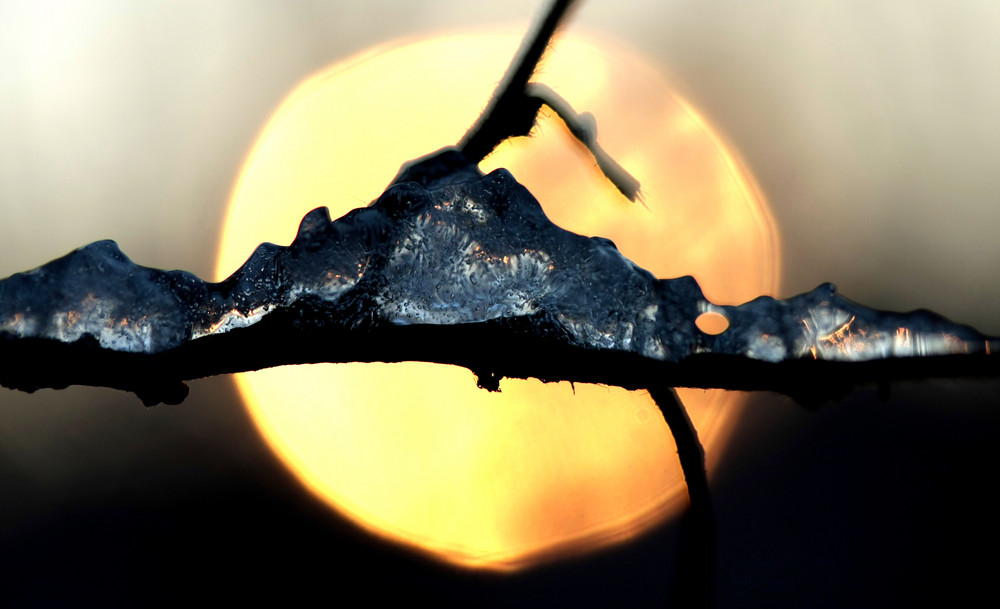 Abendsonne gegen Eis am Ast