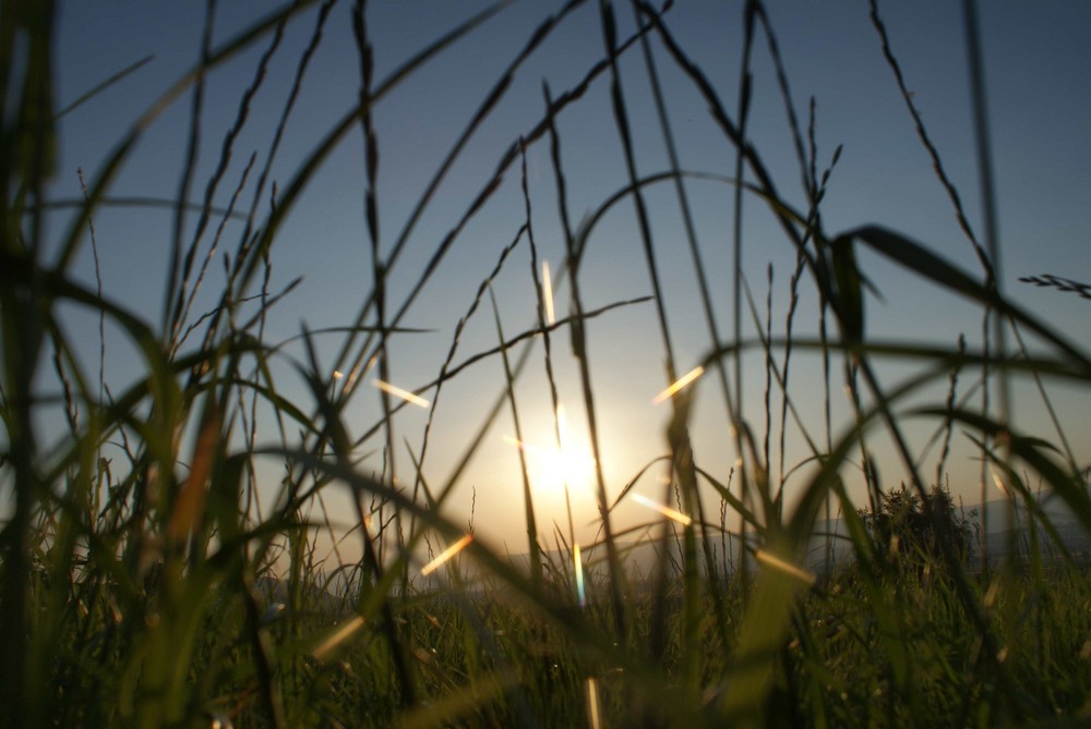 Abendsonne geht zu Bett