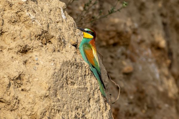 Abendsonne genießen