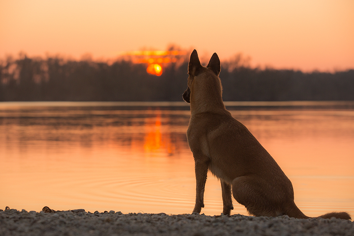 Abendsonne genießen