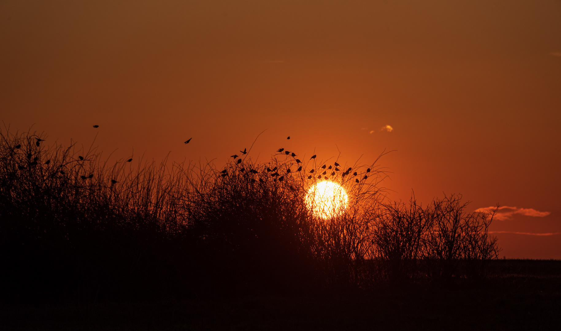 Abendsonne genießen