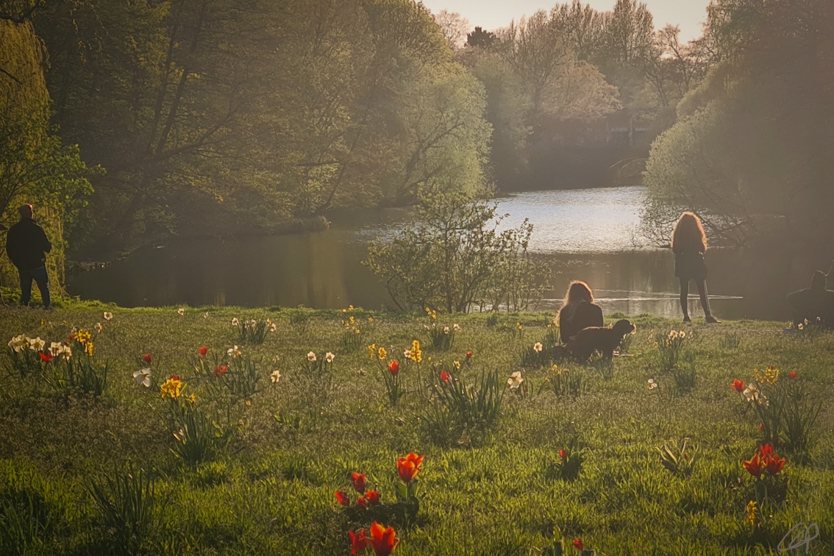 Abendsonne genießen