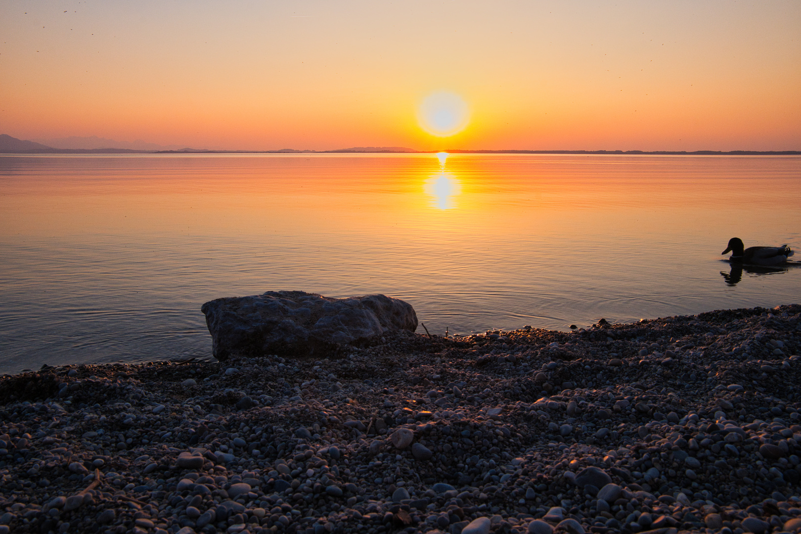 Abendsonne, gespiegelt