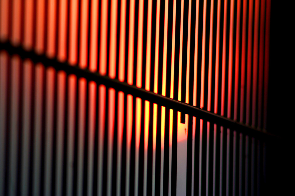 Abendsonne hinter Gittern