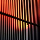 Abendsonne hinter Gittern