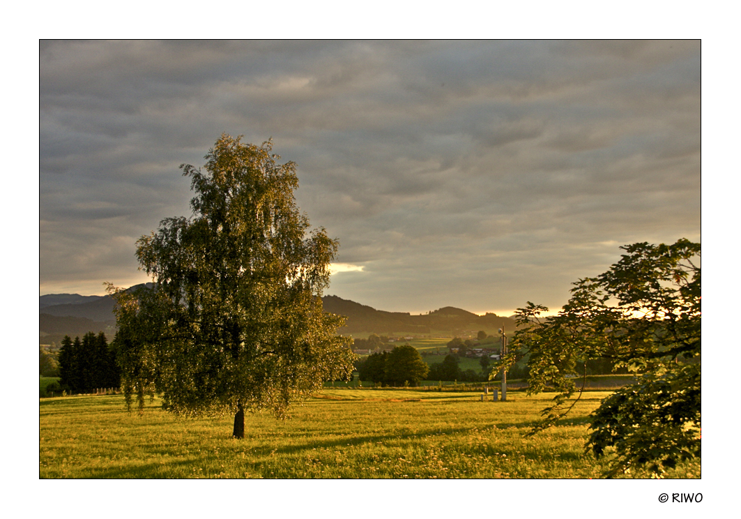 Abendsonne im Allgäu.........