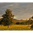 Abendsonne im Allgäu.........