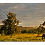 Abendsonne im Allgäu.........