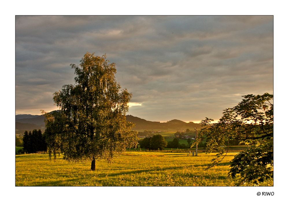 Abendsonne im Allgäu.........