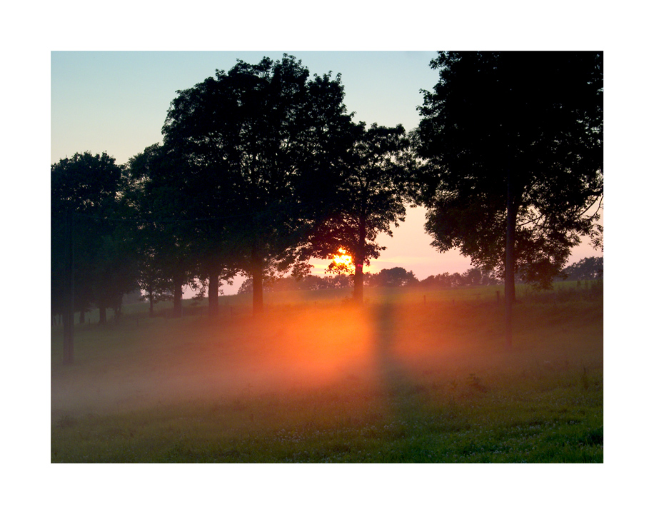 Abendsonne im Bodennebel gefangen