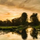 Abendsonne im Brenner Moor