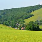 Abendsonne im Erzgebirge