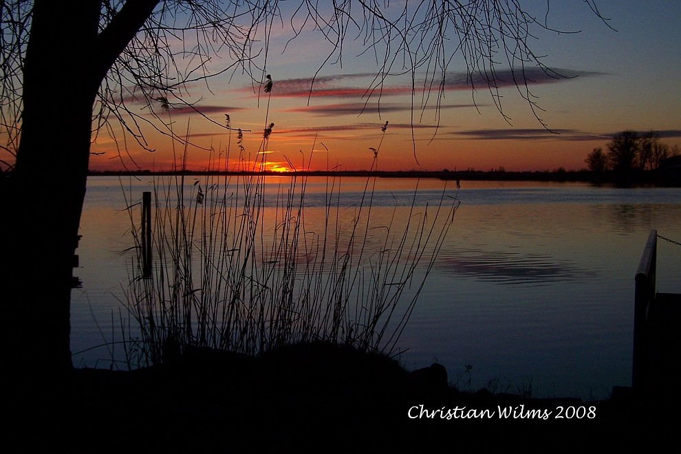 Abendsonne im Februar