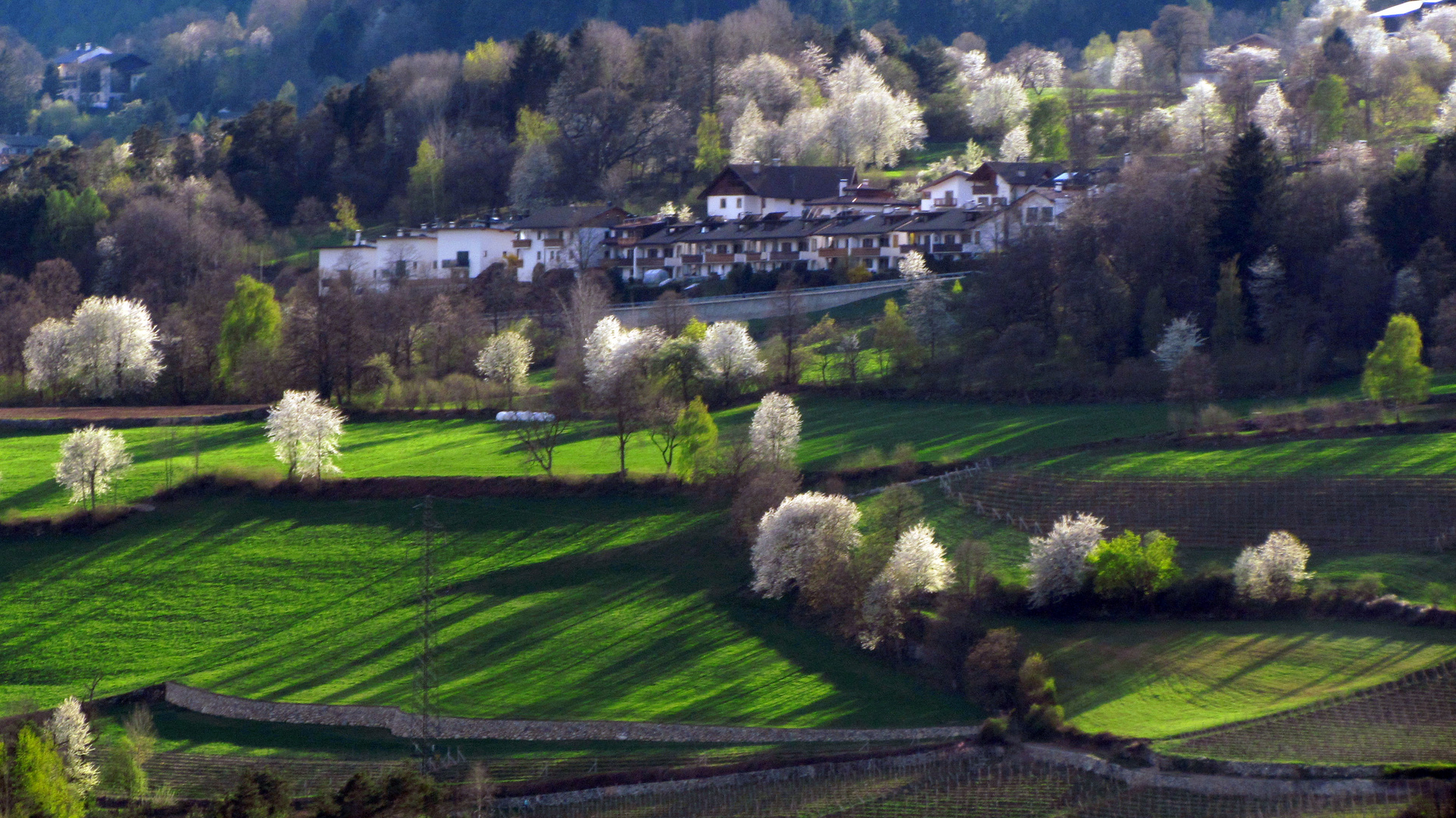 Abendsonne im Frühling